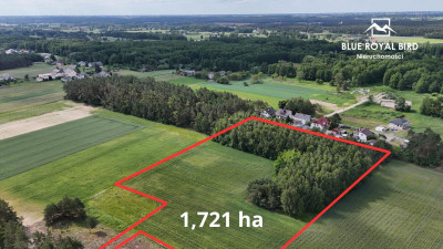 Działki na sprzedaż 17 ha pod zabudowę lub inwestycję MPZP - Ciechocinek  -
kujawsko-pomorskie Zdjęcie nr 2