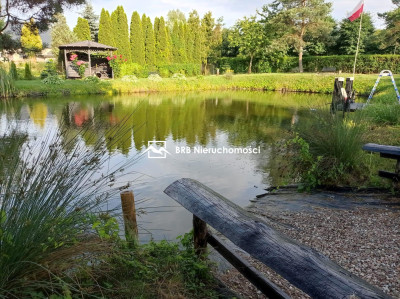 Prestiżowa Całoroczna nieruchomość z prywatnym stawem - kCiechocinka - Nieszawa  -
kujawsko-pomorskie Zdjęcie nr 14