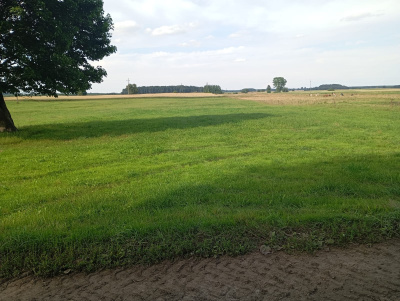 Sprzedam działkę rolno-zagrodową -
pomorskie Zdjęcie nr 4