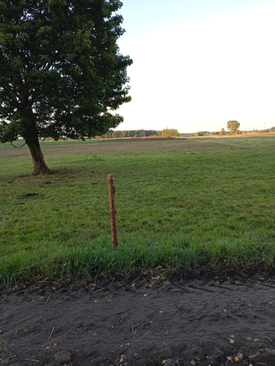 Sprzedam działkę rolno-zagrodową -
pomorskie Zdjęcie nr 5