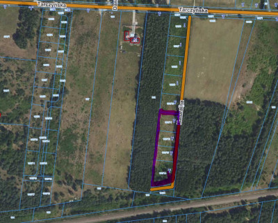 Działka z POZWOLENIEM na BUDOWĘ i PROJEKTEM na dwa DOMY po 88m2 - Piotrkowice  -
mazowieckie Zdjęcie nr 11