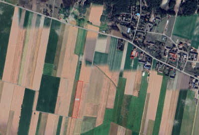Sprzedam działkę rolną – Gostkowo -
mazowieckie Zdjęcie nr 2