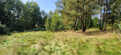 Działka w Lesie z oczkiem wodnym ! Rybaki -
pomorskie Zdjęcie nr 14