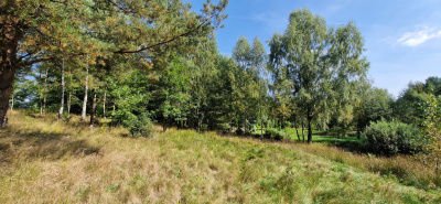 Działka w Lesie z oczkiem wodnym ! Rybaki -
pomorskie Zdjęcie nr 18