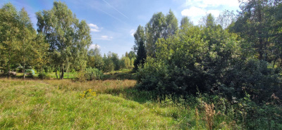 Działka w Lesie z oczkiem wodnym ! Rybaki -
pomorskie Zdjęcie nr 3