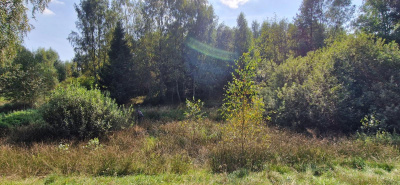 Działka w Lesie z oczkiem wodnym ! Rybaki -
pomorskie Zdjęcie nr 6