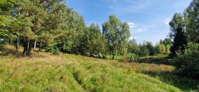 Działka w Lesie z oczkiem wodnym ! Rybaki -
pomorskie Zdjęcie nr 2