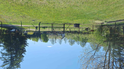 Warszawa Wawer działka 1120m² na sprzedaż -
mazowieckie Zdjęcie nr 3