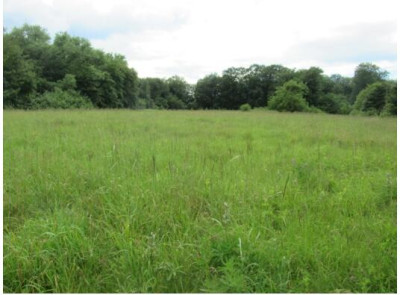 Inwestycyjna Nieruchomość gruntowa w otulinie lasów i jezior na pojezierzu bytowskim - Wołcza Wielka  -
pomorskie Zdjęcie nr 11