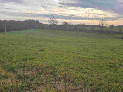 Grunt pod działki rekreacyjne -
warmińsko-mazurskie Zdjęcie nr 4