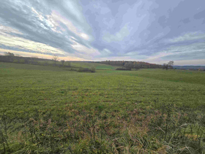 Grunt pod działki rekreacyjne -
warmińsko-mazurskie Zdjęcie nr 5