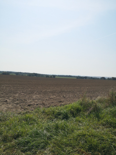 Działka budowlana 1000 m2 prodtokt -
Dolnośląskie Zdjęcie nr 8