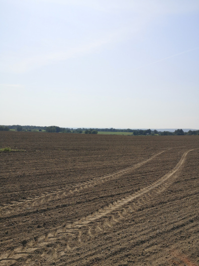 Działka budowlana 1000 m2 prodtokt -
Dolnośląskie Zdjęcie nr 5