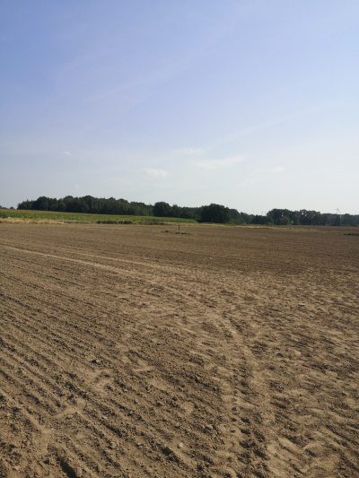 Działka budowlana 1000 m2 prodtokt - Dolnośląskie