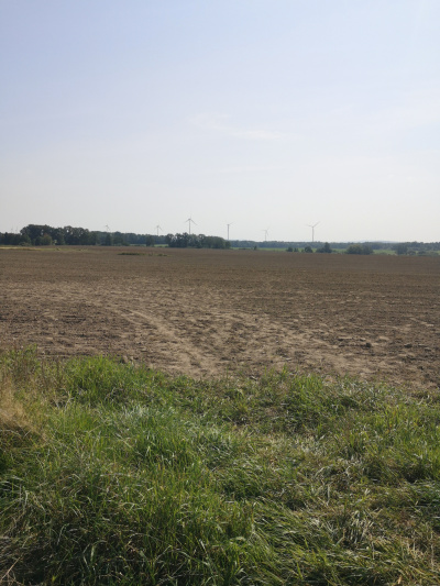 Działka budowlana 1000 m2 prodtokt -
Dolnośląskie Zdjęcie nr 12