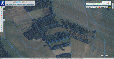 2.16ha (PsV, RV, Ł4 ) | Ruda Wolińska 08-117 | 23km od Siedlec, 100km od Warszawy -
mazowieckie Zdjęcie nr 17