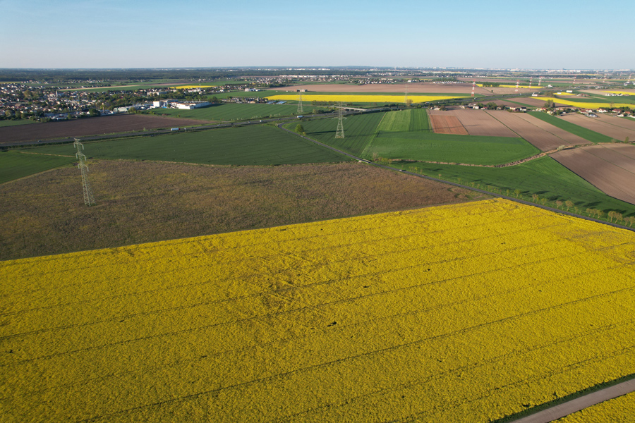 słupy elektryczne na działce